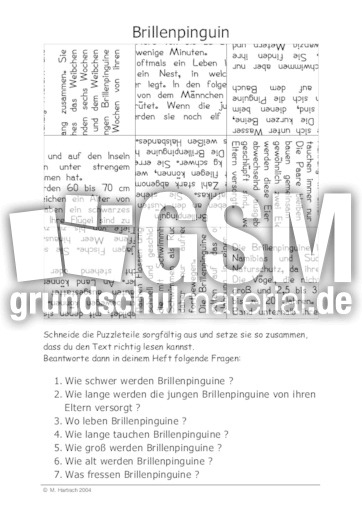 Brillenpinguin.pdf